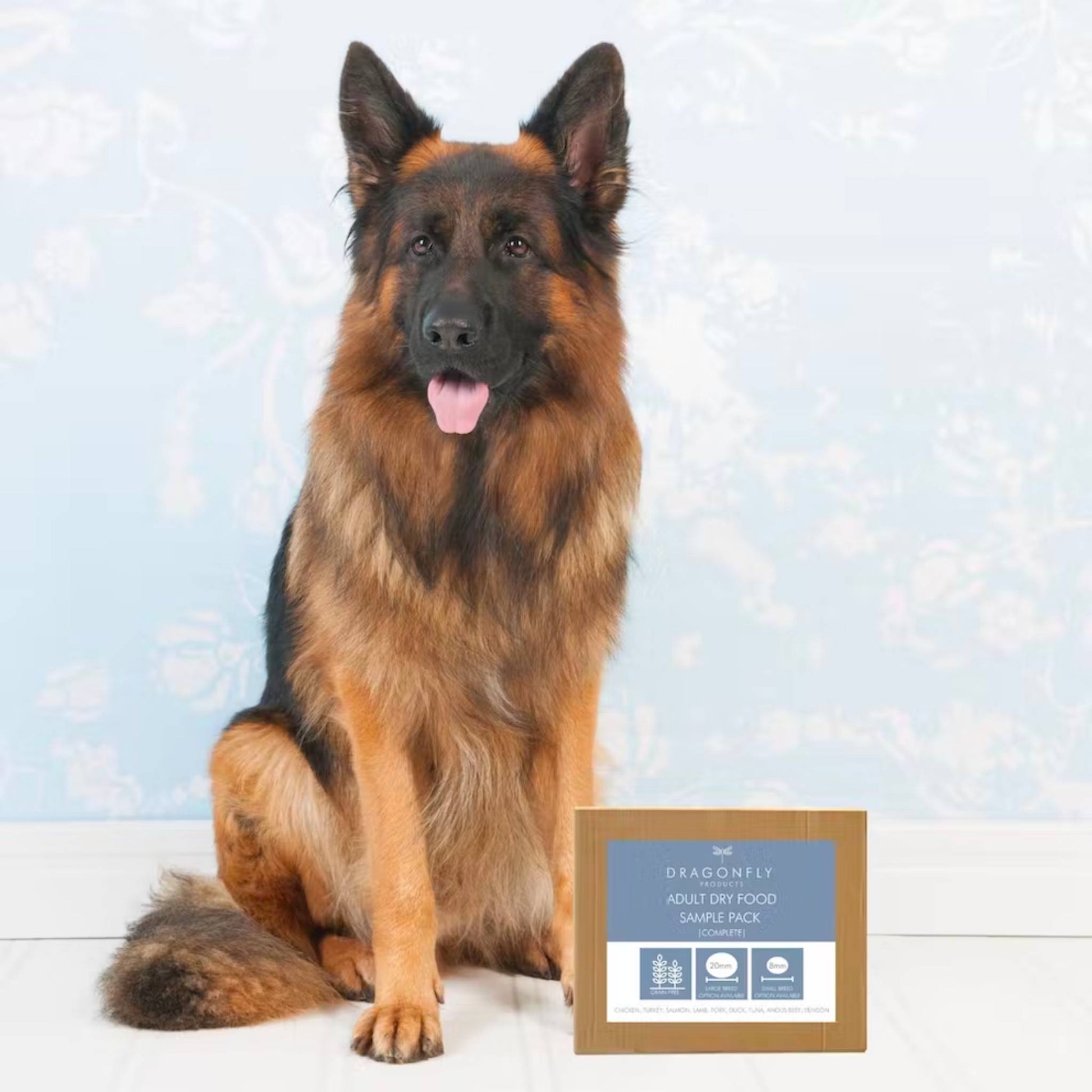 Grain free dry dog food adult sample pack