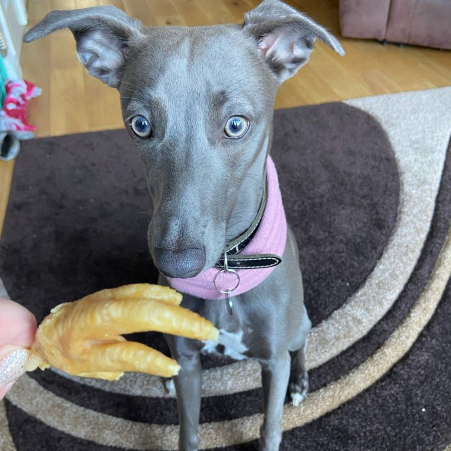 Chicen feet natural dog treat