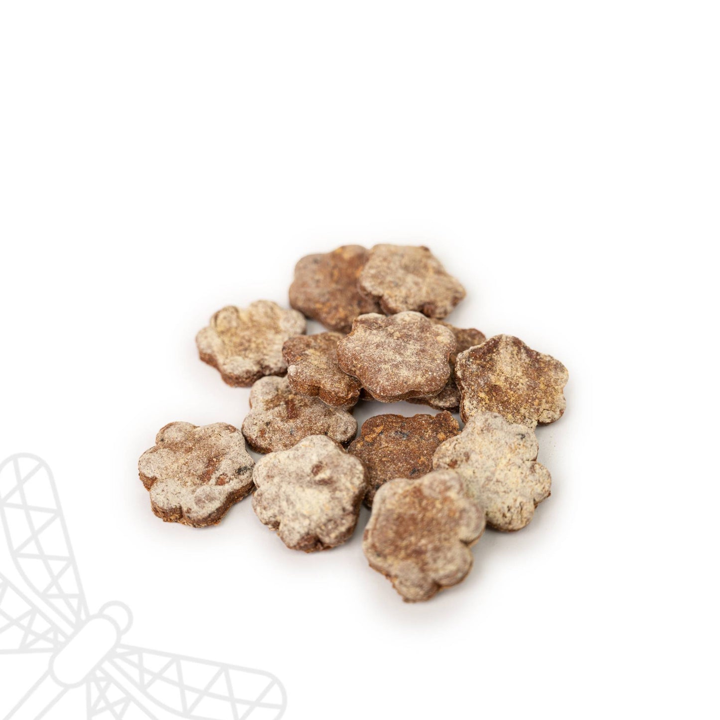 Blueberry flavour dog biscuits