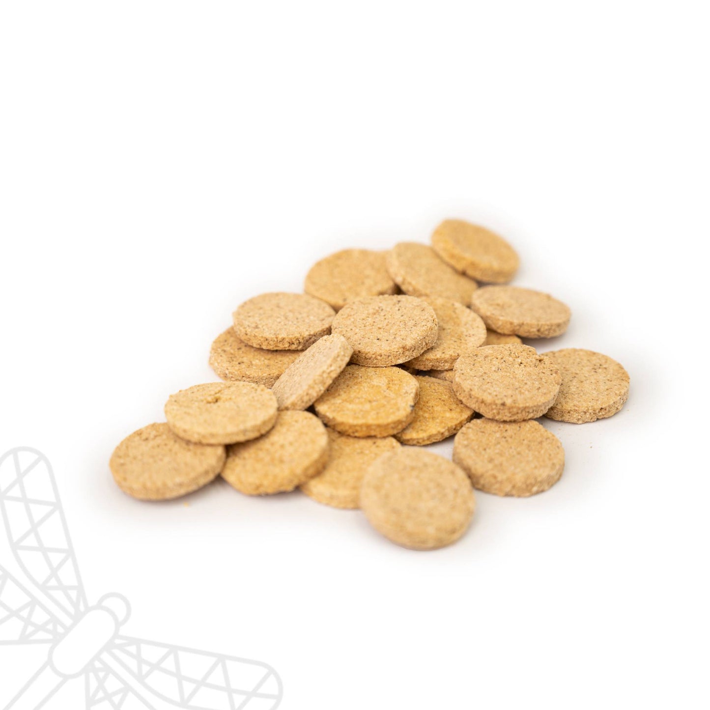 Tropical Biscuit Bakes for dogs