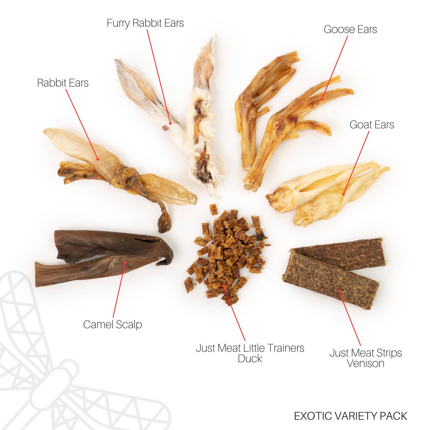 Mixture of exotic protein dog chews