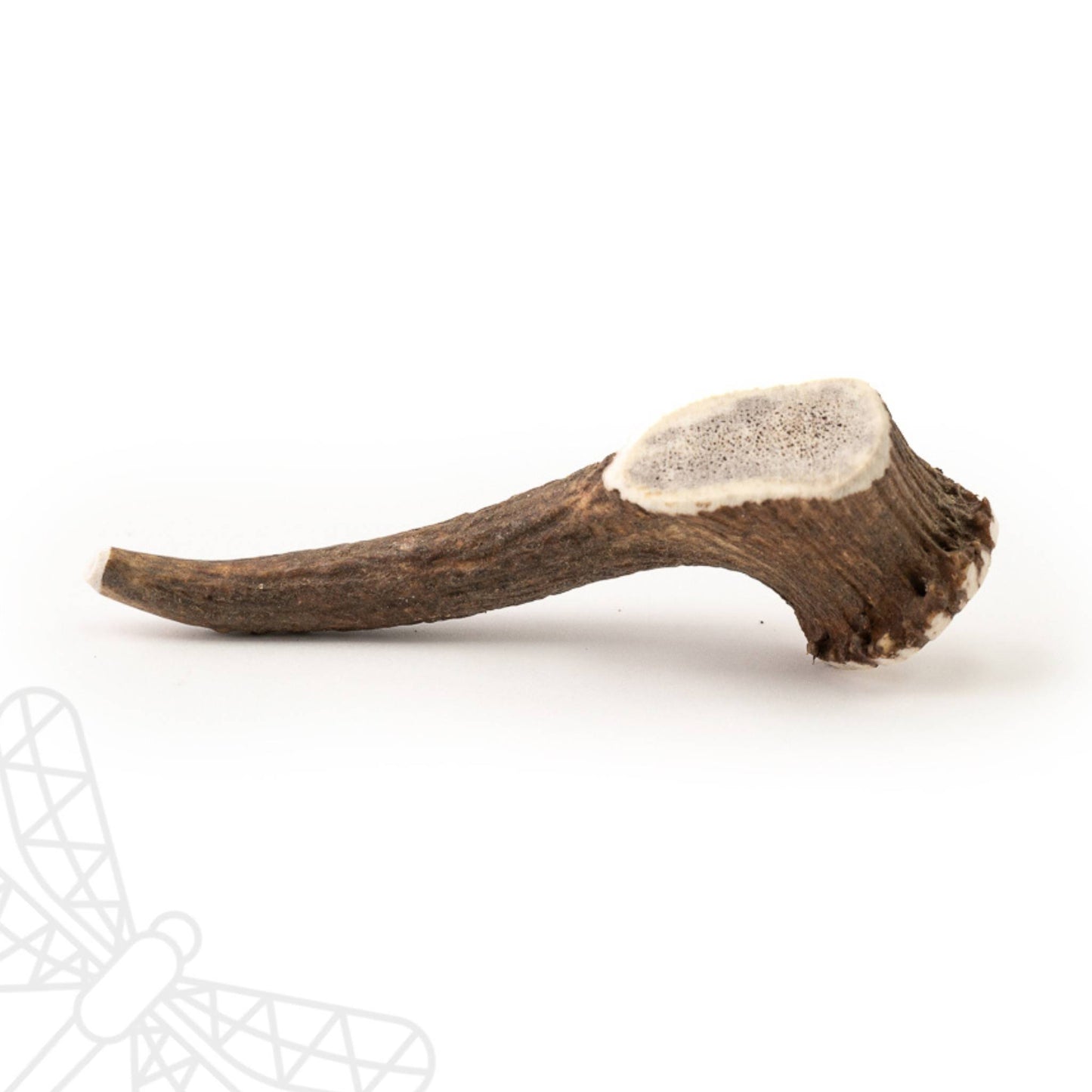 Full deer antler for dogs