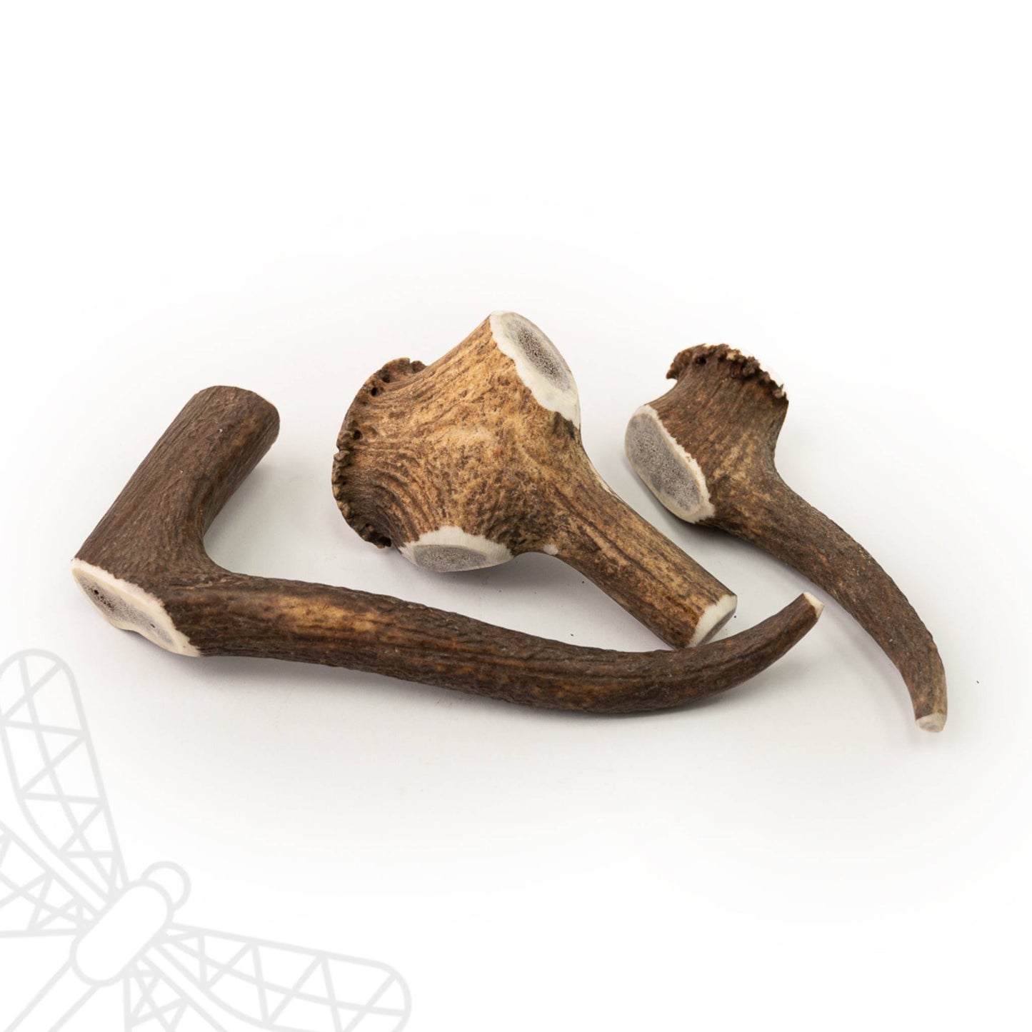 Deer antlers for dogs