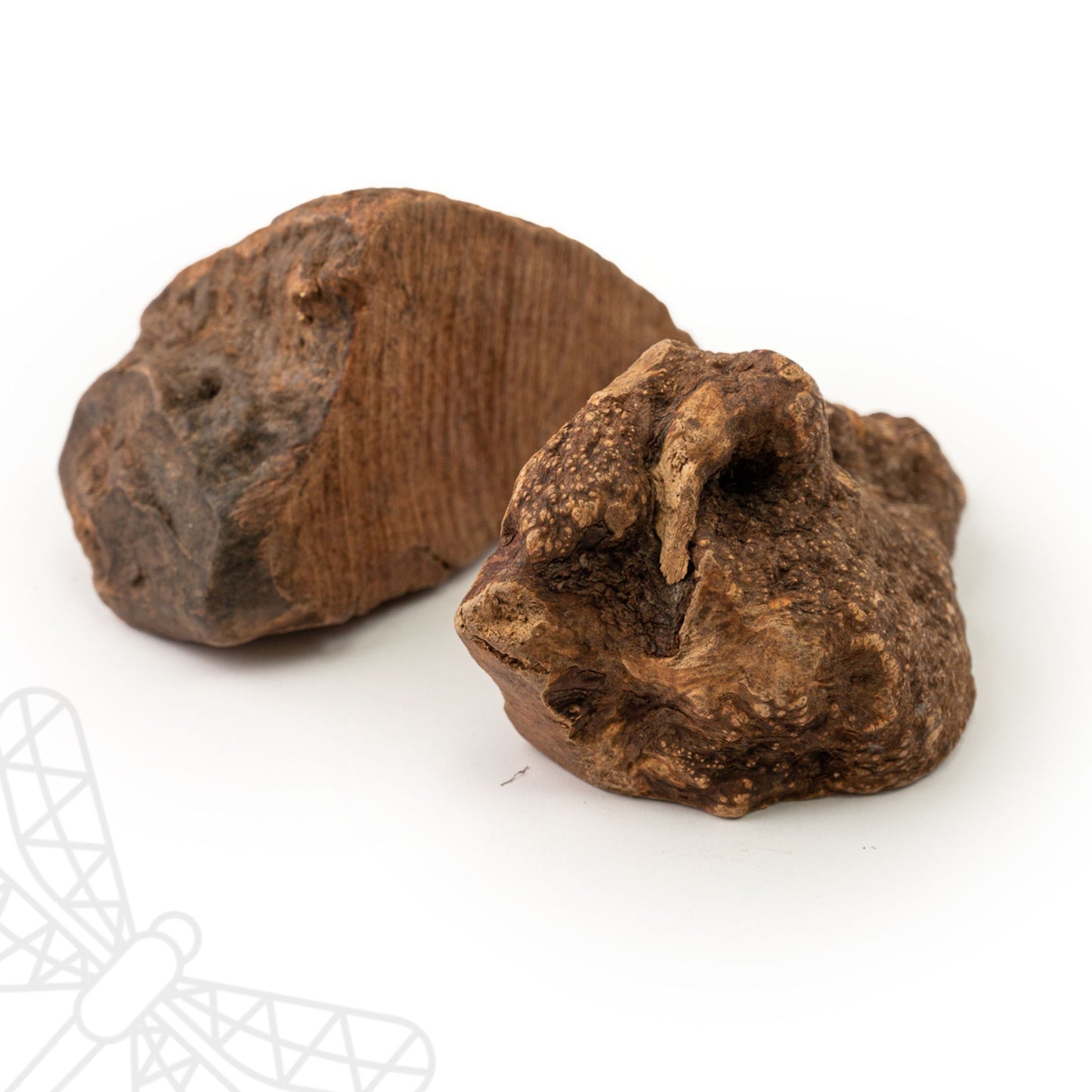 Root Chew for Dogs