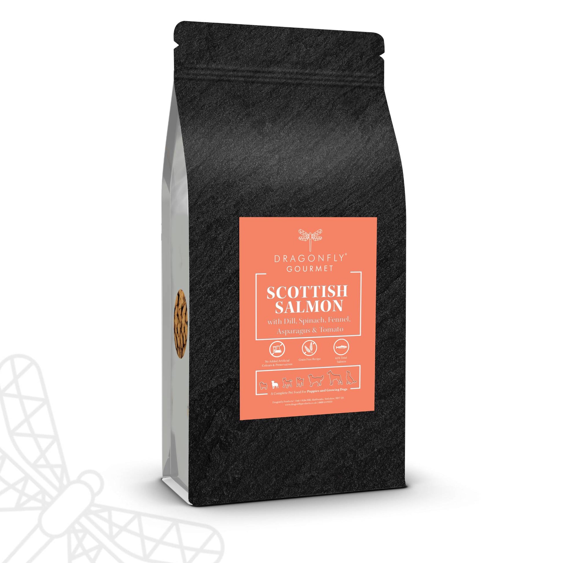 Gourmet Salmon Feast Grain Free Puppy Food