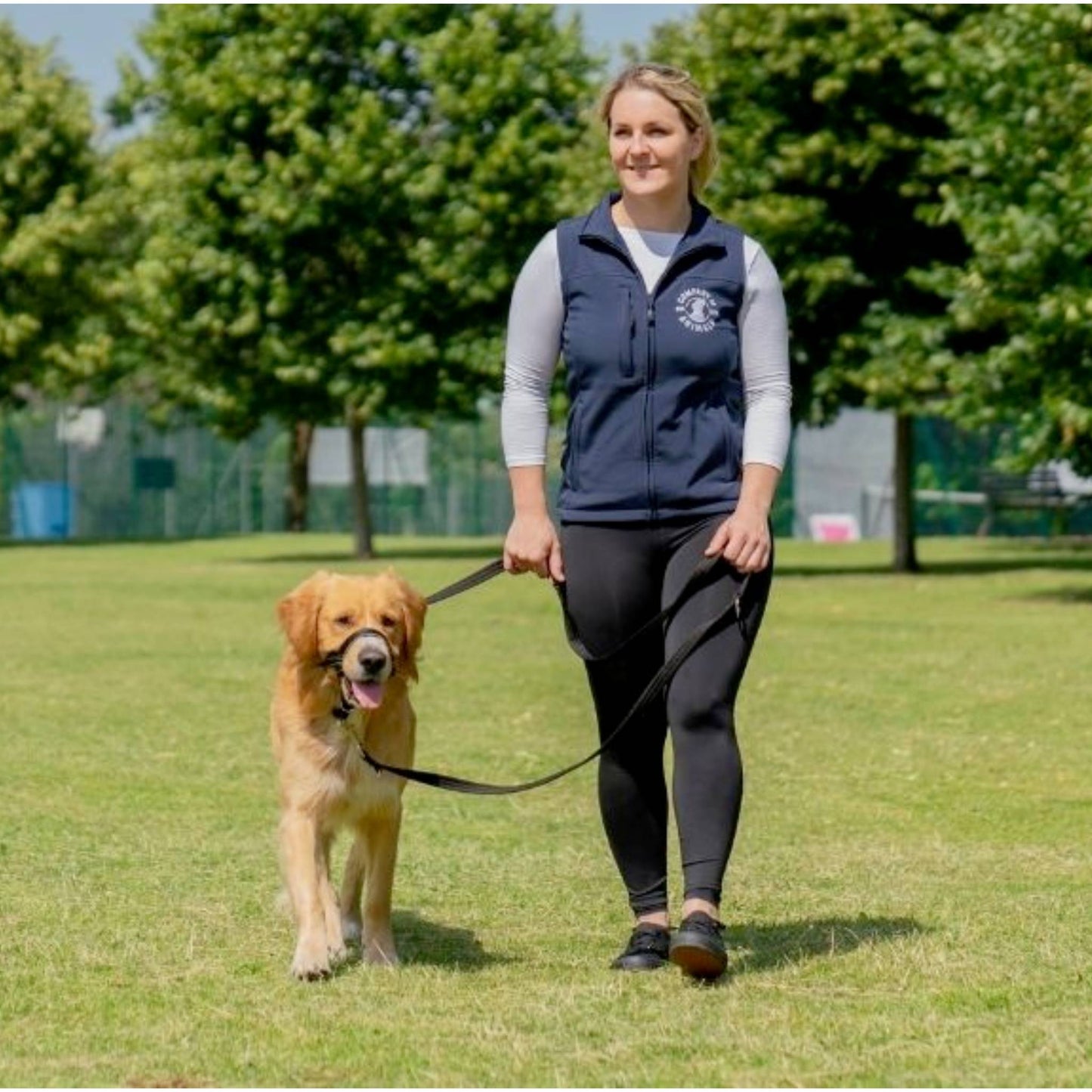 Dog walking with Halti headcollar