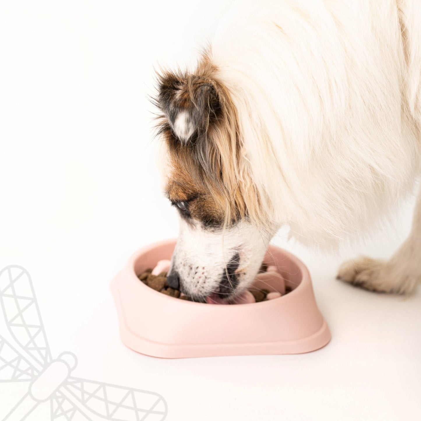 Slow Down Slow Feeder Bowl