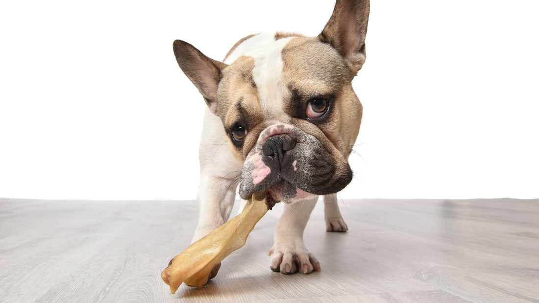 Are cow ears good for dogs?