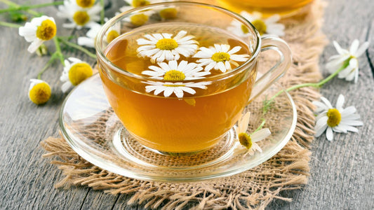 Is Camomile Safe for Dogs?