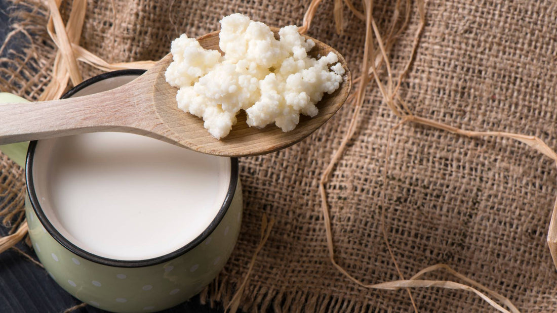 kefir for dogs