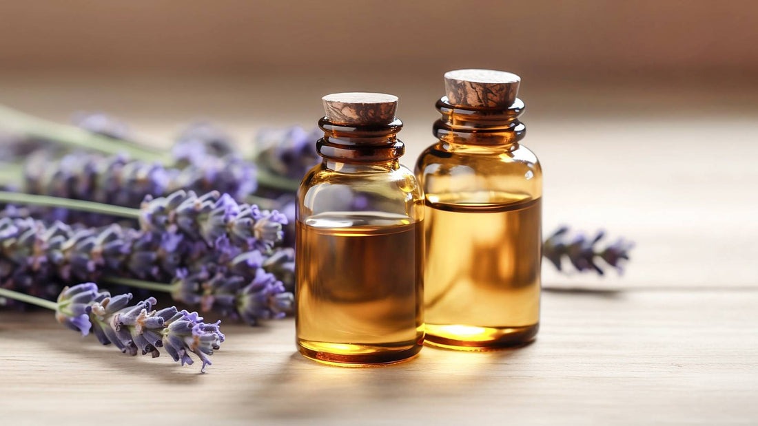 Lavender for Dogs: A Comprehensive Guide