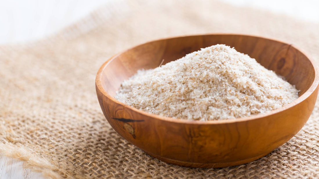 Psyllium Husk for Dogs: What Is It and What Are the Benefits?