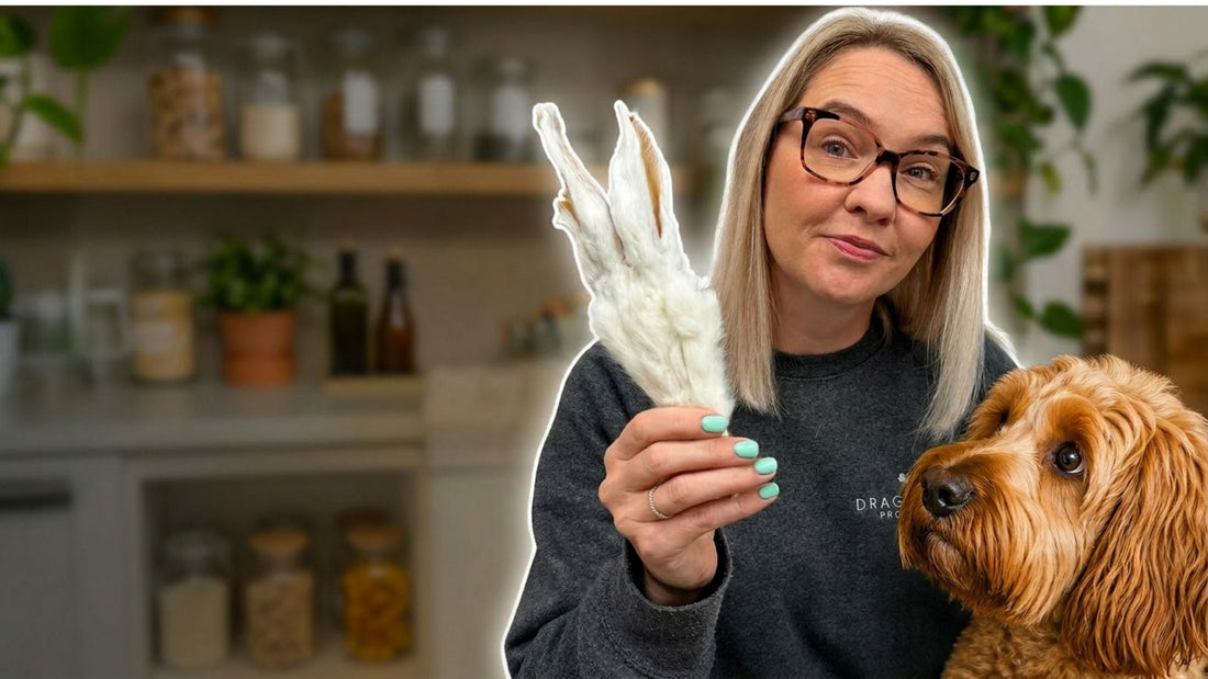 Should You Feed Your Dog Fur? Benefits, Safety & What You Need to Know
