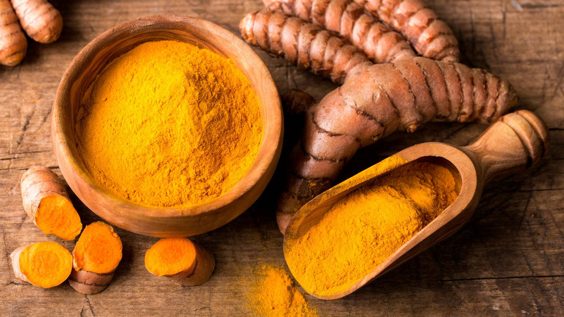 Turmeric for Dogs