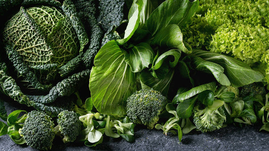 What is good fibre for dogs?