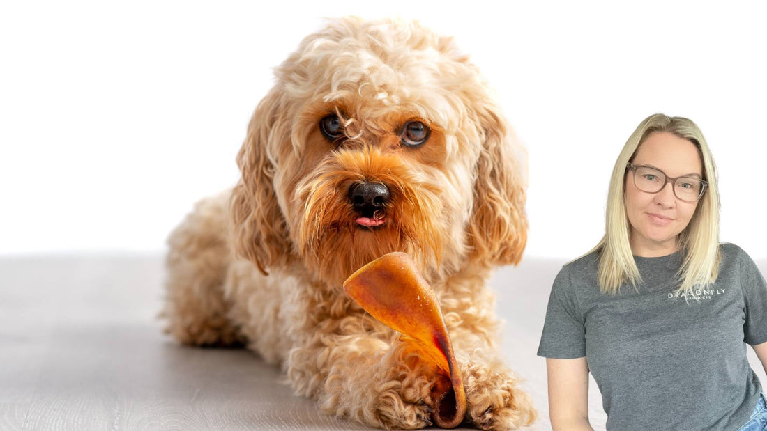 Why I Switched to Natural Dog Treats (And Why It Matters)