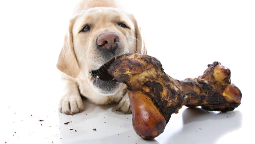 Are cooked bones safe for dogs?