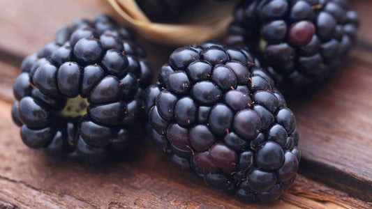 is it ok for dogs to eat blackberry?