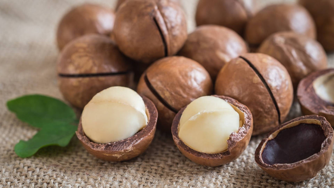 Are macadamia nuts safe or poisonous for dogs?