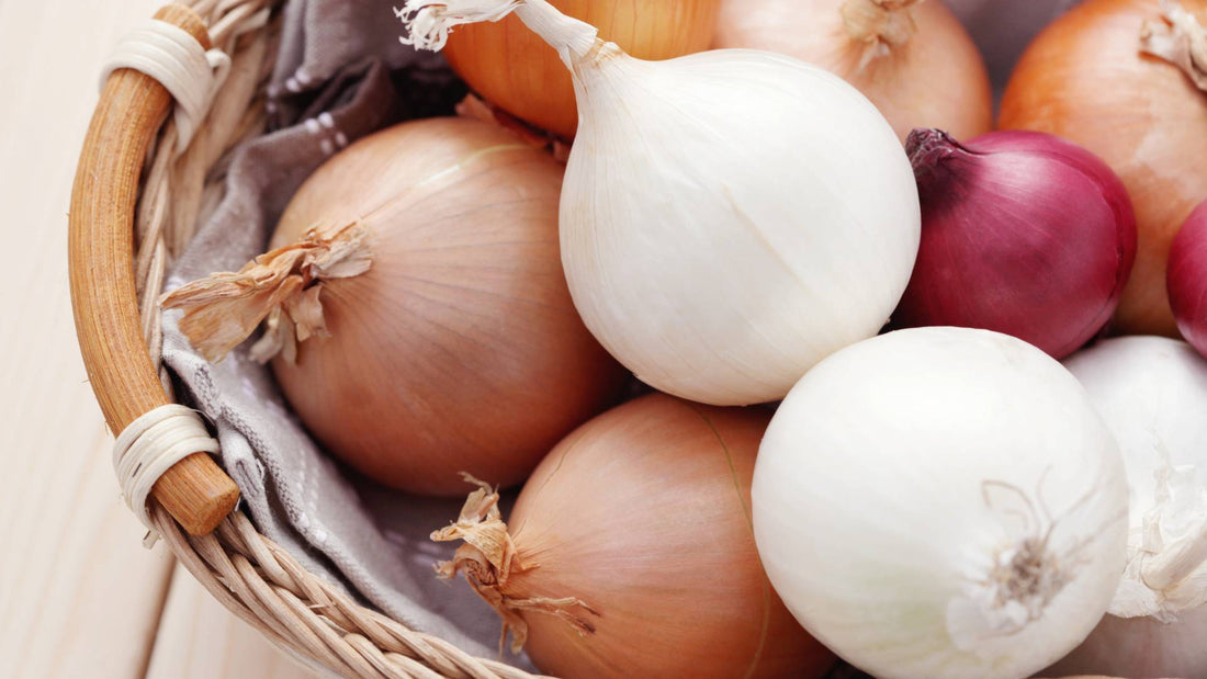 Are onions safe or poisonous for dogs?