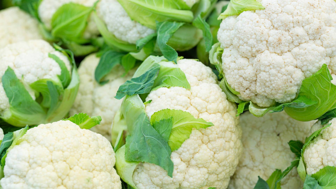 Can dogs have cauliflower?