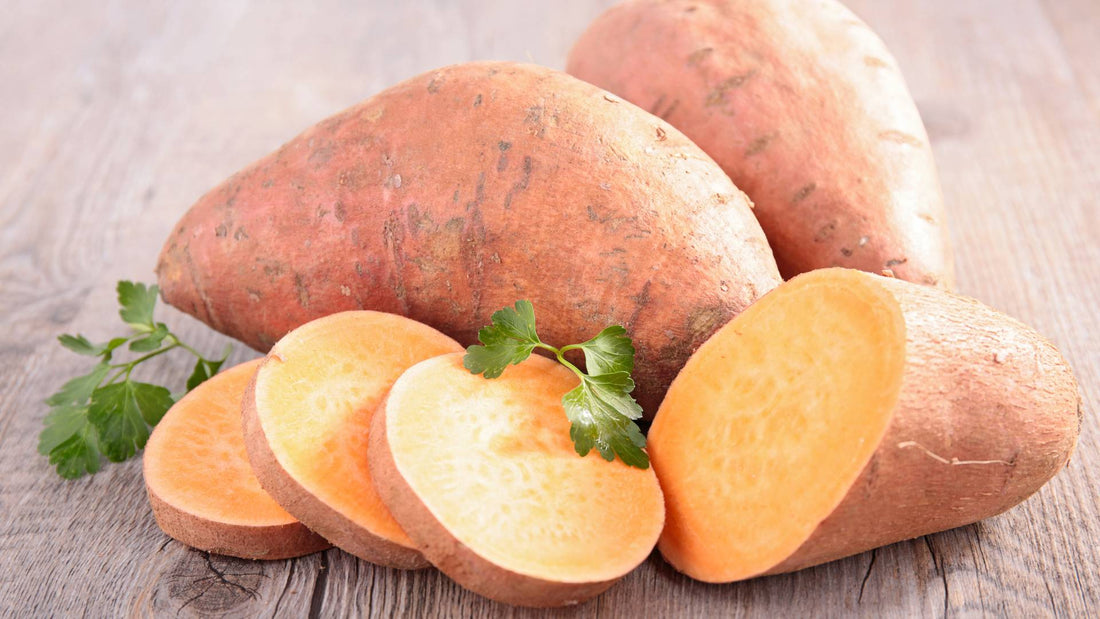 Can dogs have sweet potatoes?