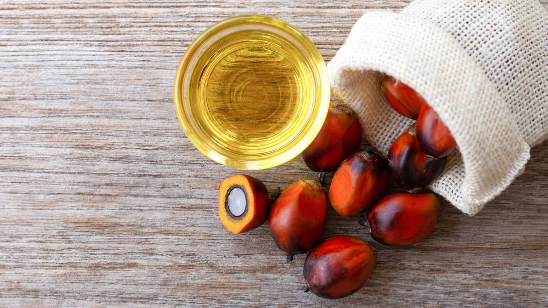 What is palm oil?