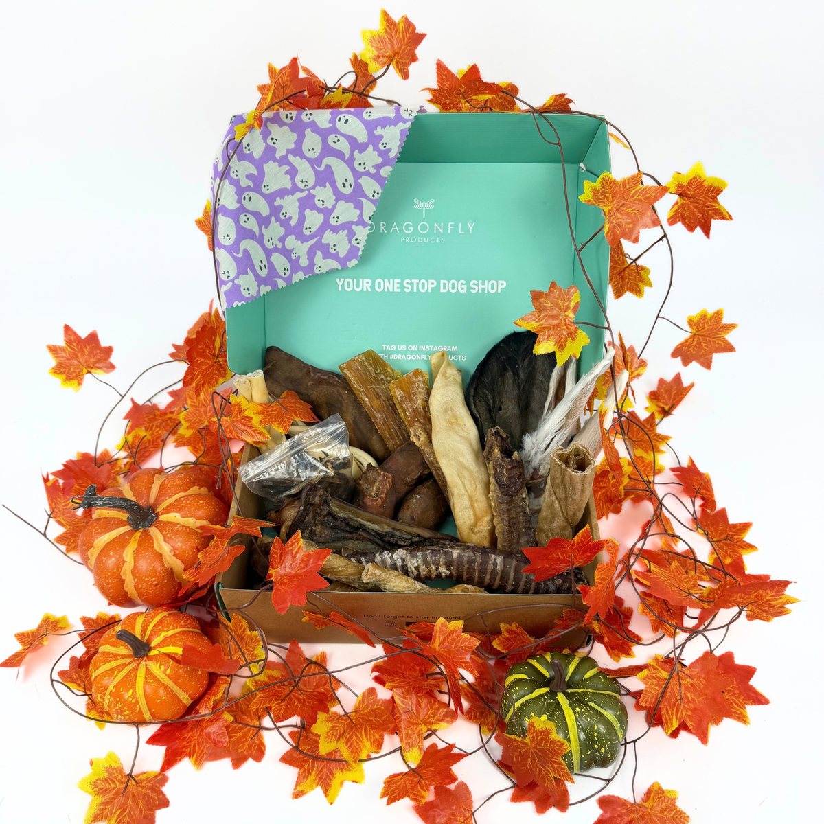 Halloween Trick or Treat Variety Box (LIMITED EDITION)