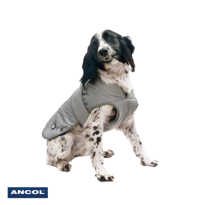 Ancol Muddy Paws Stormguard Dog Coat