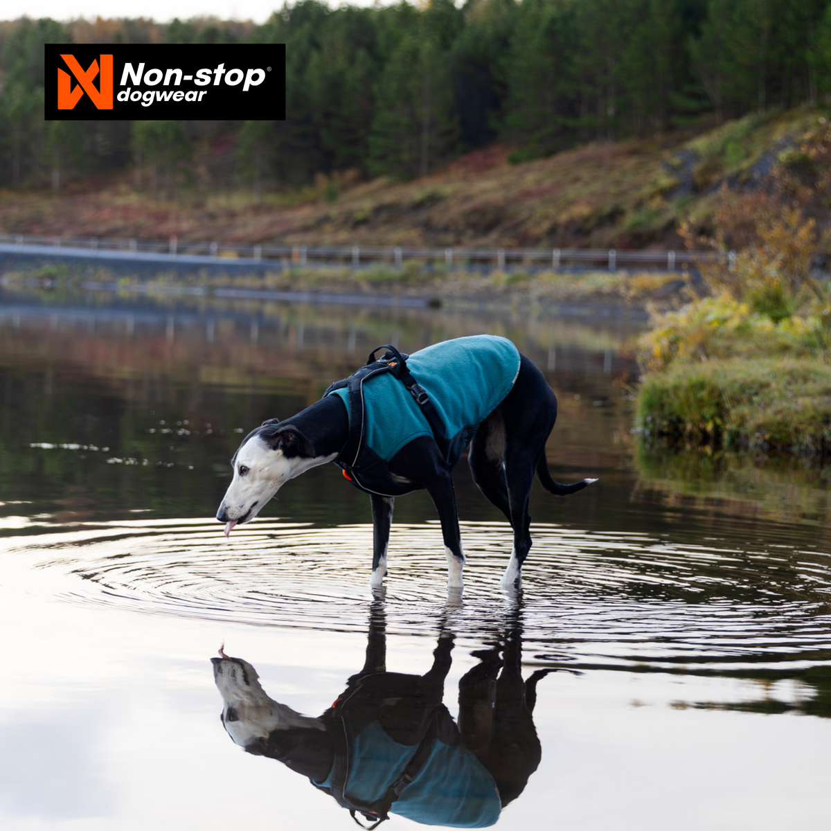 Non-Stop Dogwear Trail Quest Fleece Pullover