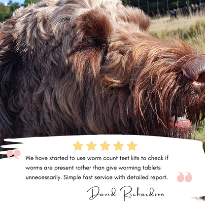 Dog worming tablets sales lungworm