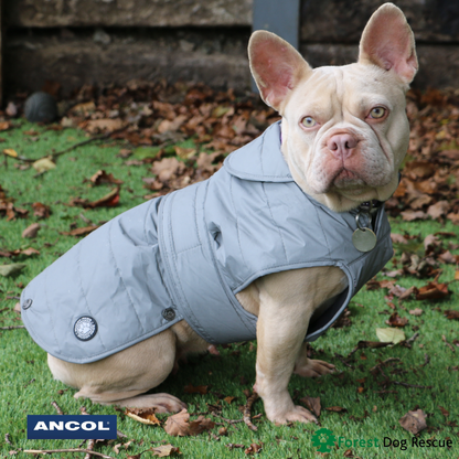 Ancol Muddy Paws Stormguard Dog Coat