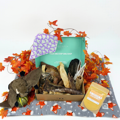 Halloween Trick or Treat Variety Box (LIMITED EDITION)