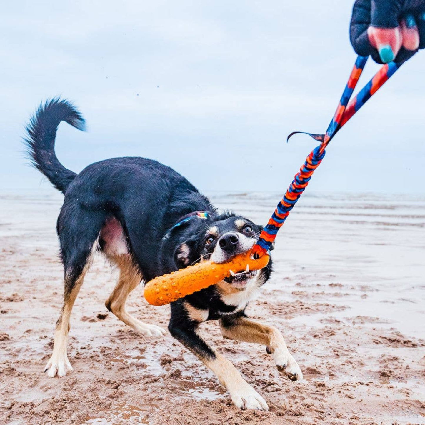 Tug-E-Nuff BOB: 3-in-1 Dog Dummy | Fetch, tug & float |