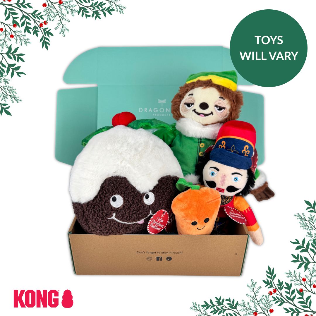 Ancol Christmas Toy Mystery Box
