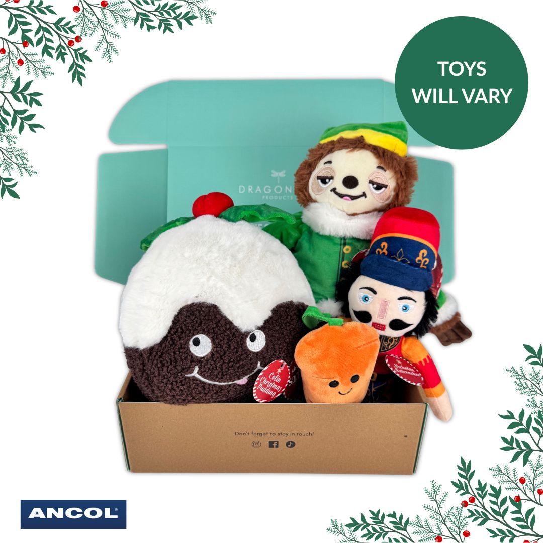Ancol Christmas Toy Mystery Box
