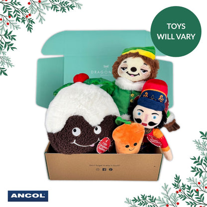 Ancol Christmas Toy Mystery Box