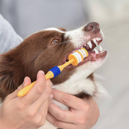 Dog having teeth brushed