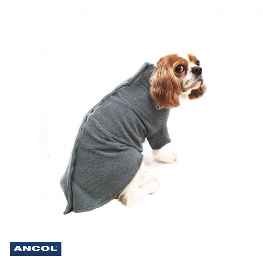 Ancol Dying coat on small dog