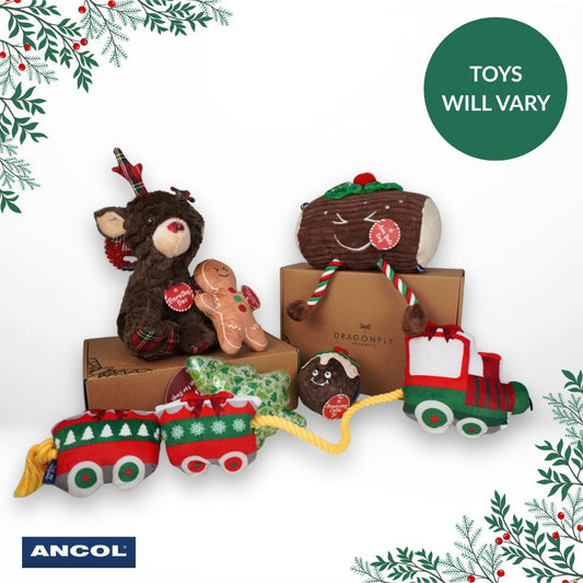 Ancol Christmas Toy Mystery Box