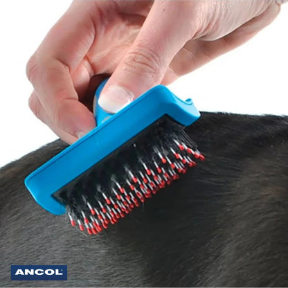 Ancol Ergo Hedgehog Slicker brushing dog