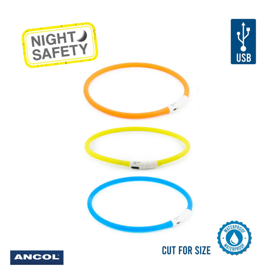 Ancol Flashing Dog Band Collar All Colours