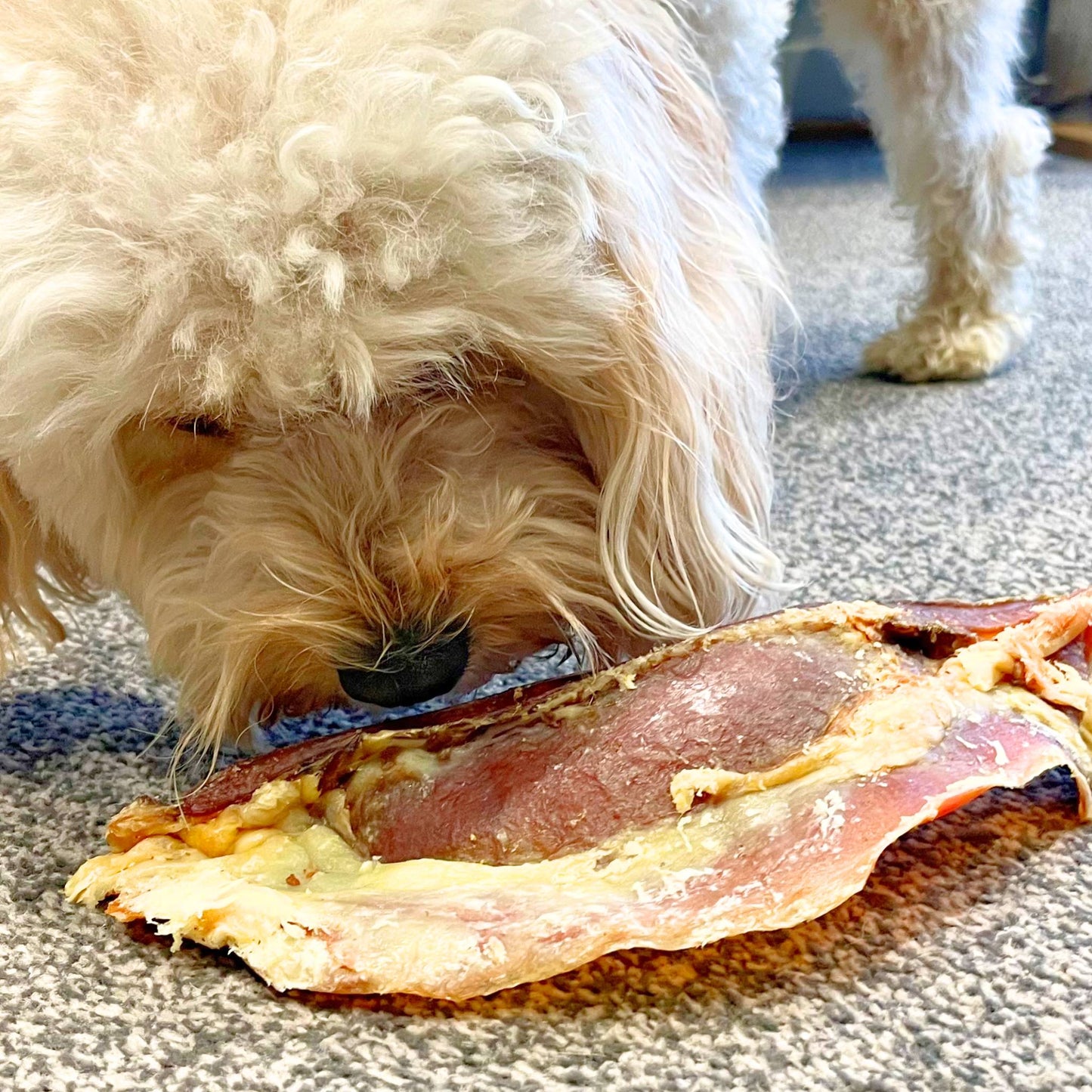 DOG WITH BEEF MOON BONE