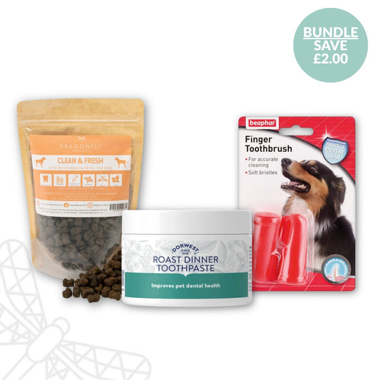 Total Dental Care Bundle