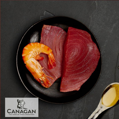 Canagan Tuna with Prawns