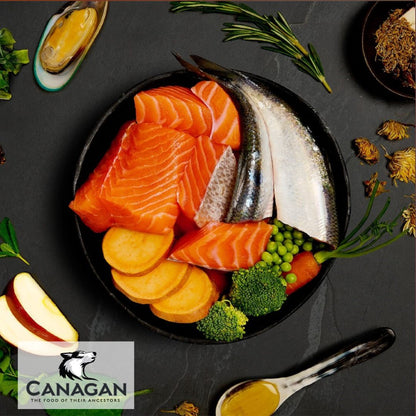 Canagan Salmon & Herring Supper