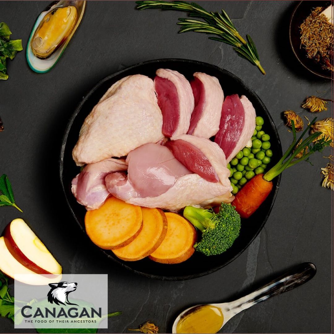 Canagan Turkey & Duck Dinner