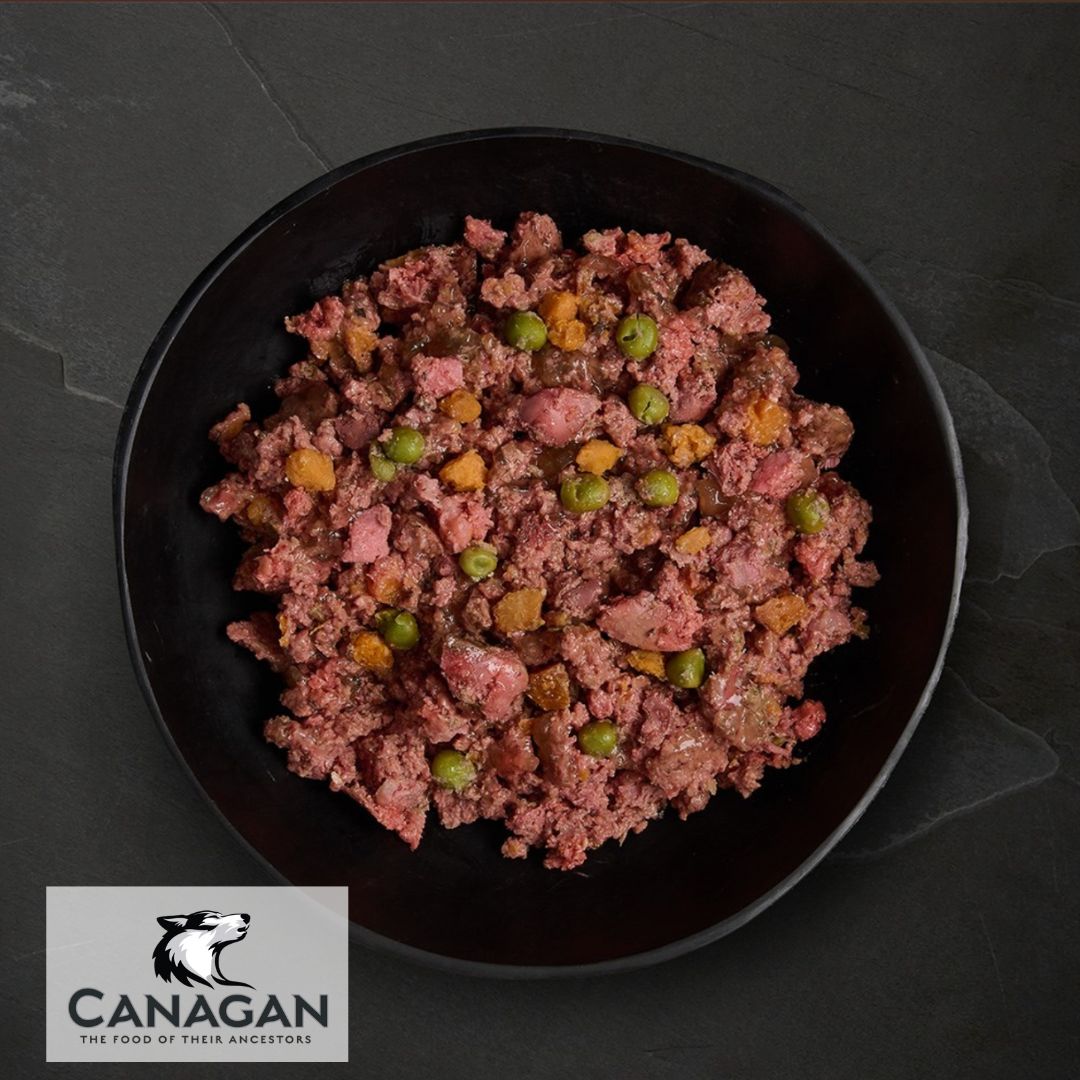 Canagan Turkey & Duck Dinner