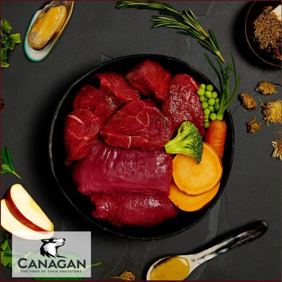Venison And Apple Dog Food Recipe For Large Breed Adults Reference: Canagan Wet Dog Food Venison Wild Boar Stew
