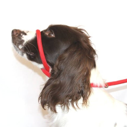DOG & FIELD FIGURE 8 LEAD RED